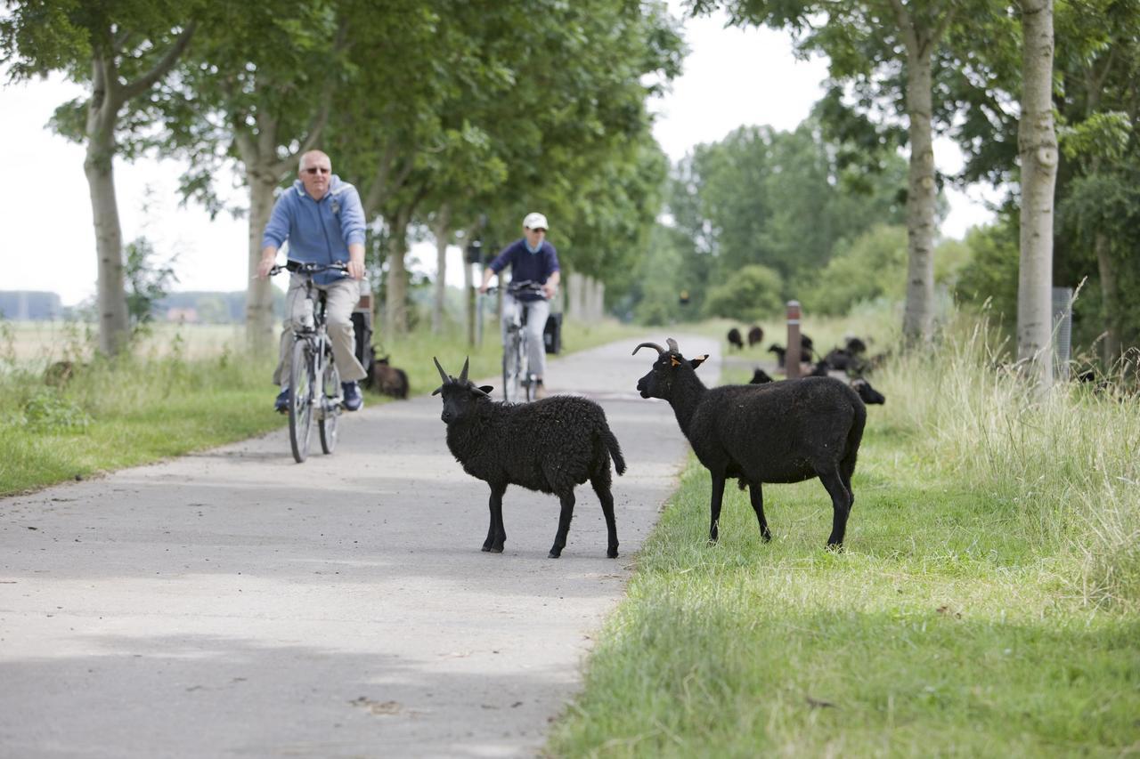 't Heirweggoed 4*